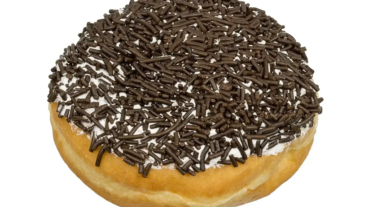 Chocolate sprinkle doughnut